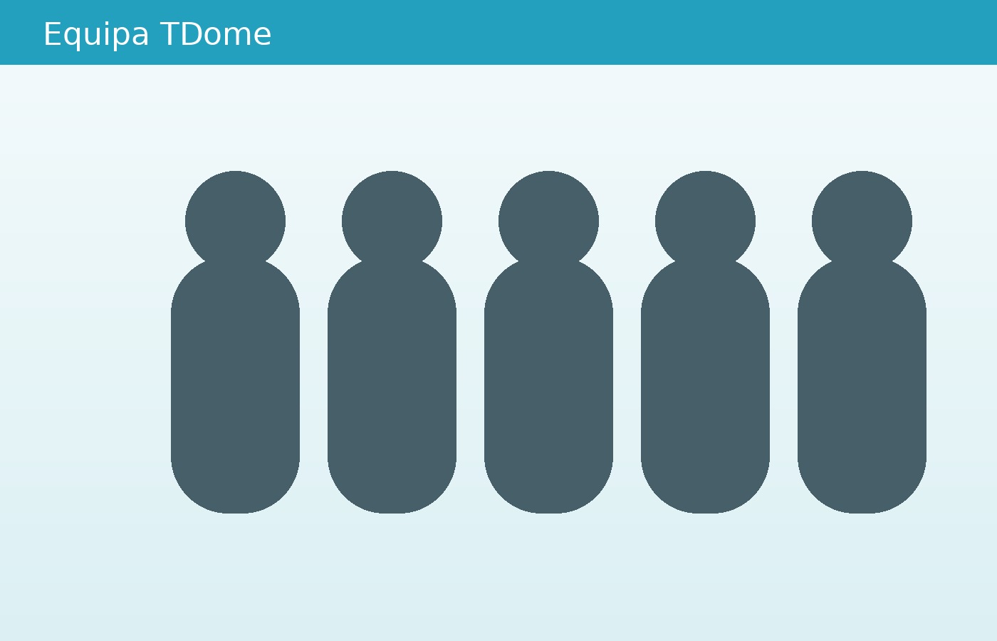 TDOME team